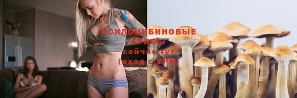 дурь Аркадак