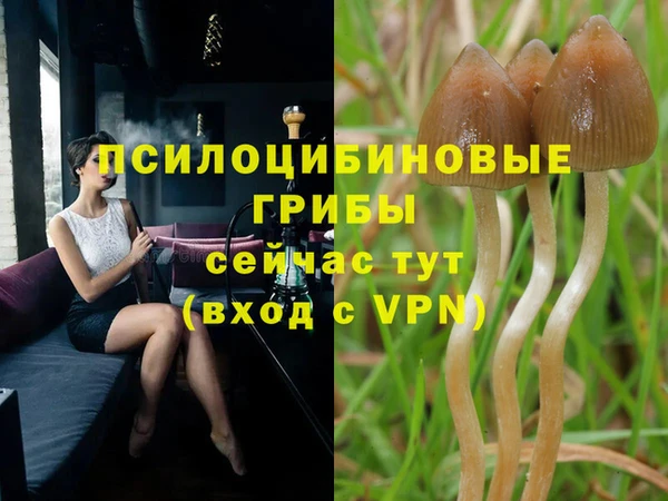 дурь Аркадак