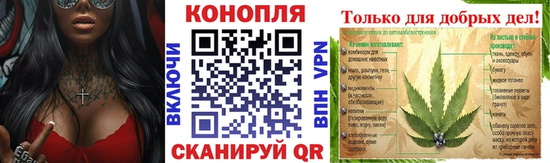 Марихуана план  Ленинск 